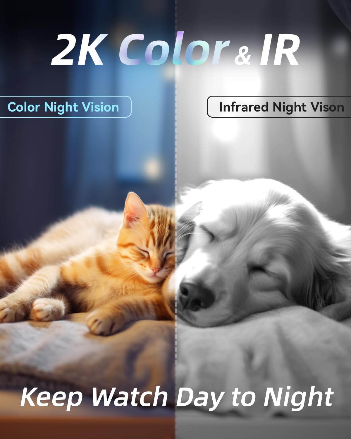 blurams 5G Cameras for Home Security, 2K Pet Camera with Phone App, 360° PTZ Indoor Camera w/Dual-Band WiFi6, Free Human/Motion/Sound Detection, 2-Way Talk, Night Vision, Compatible with Alexa, 2Pack
