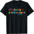 Slowly Going Insane Kidcore Clowncore Aesthetic T-Shirt