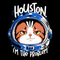 Houston Mood Problem