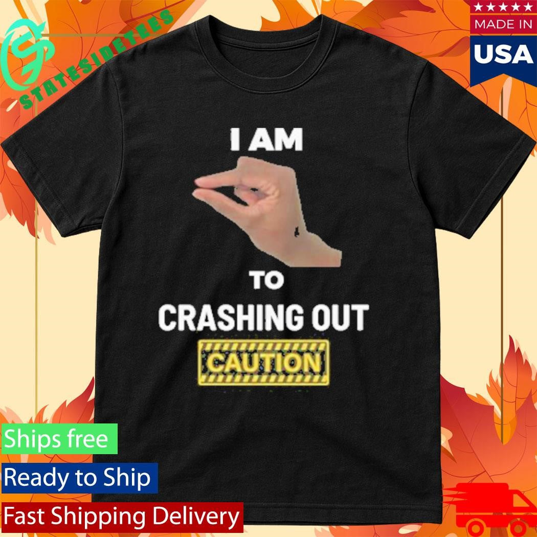 I Am This Close To Crashing Out V1 Shirt