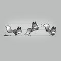 See Fox Run