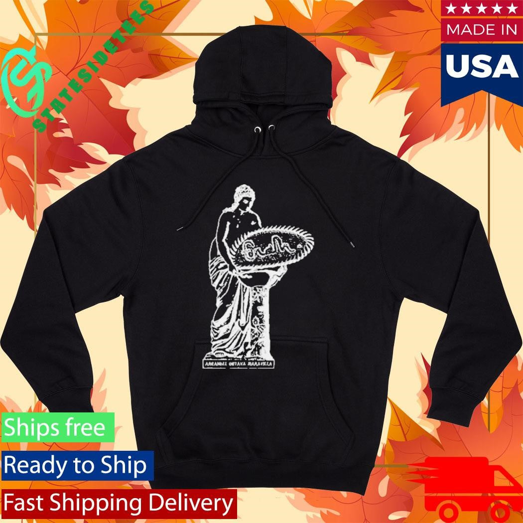 Mother Figure Ls Frsh X Arcangel Shirt