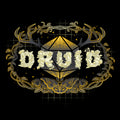 Druid Class